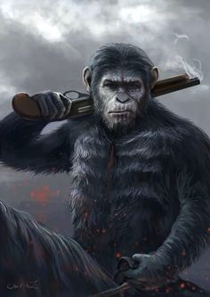 Tournoi du meilleur film avec des primates