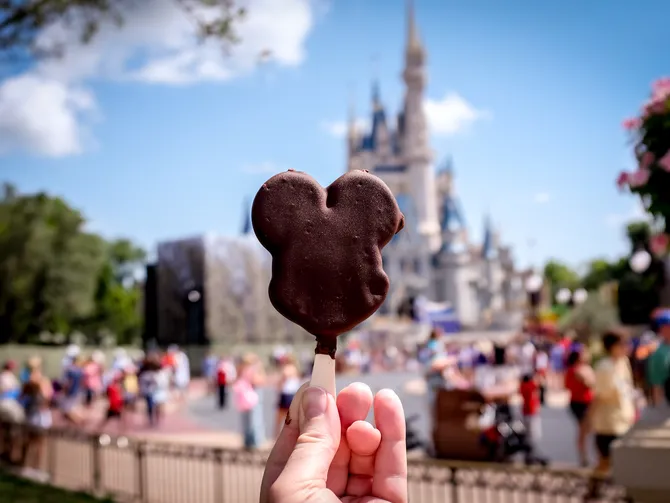 Disney Park Food