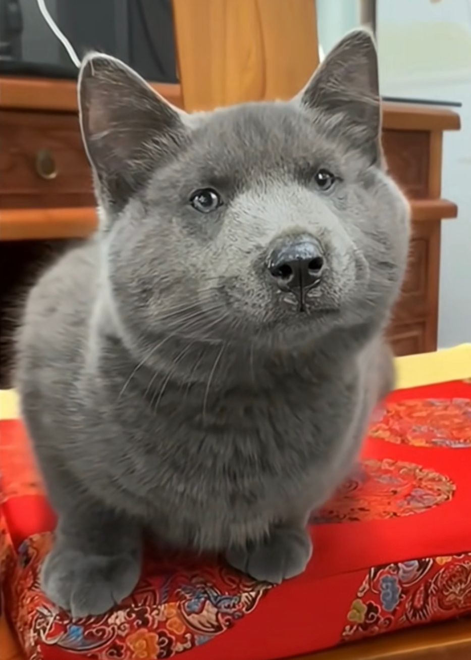 bbbb