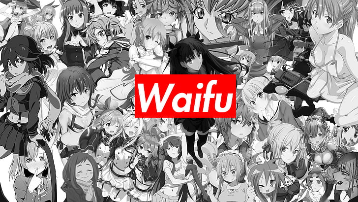 Anime Waifus Battle +1000