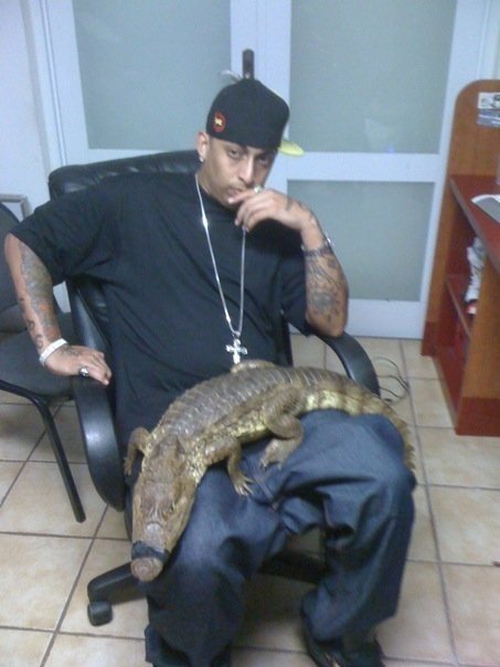 Trap latin