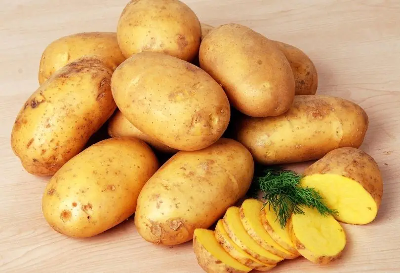 En İyi Patates Yemeği(64)