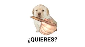 pluh