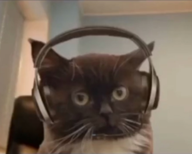 Best Video Game Songs for gamers only (no normies)