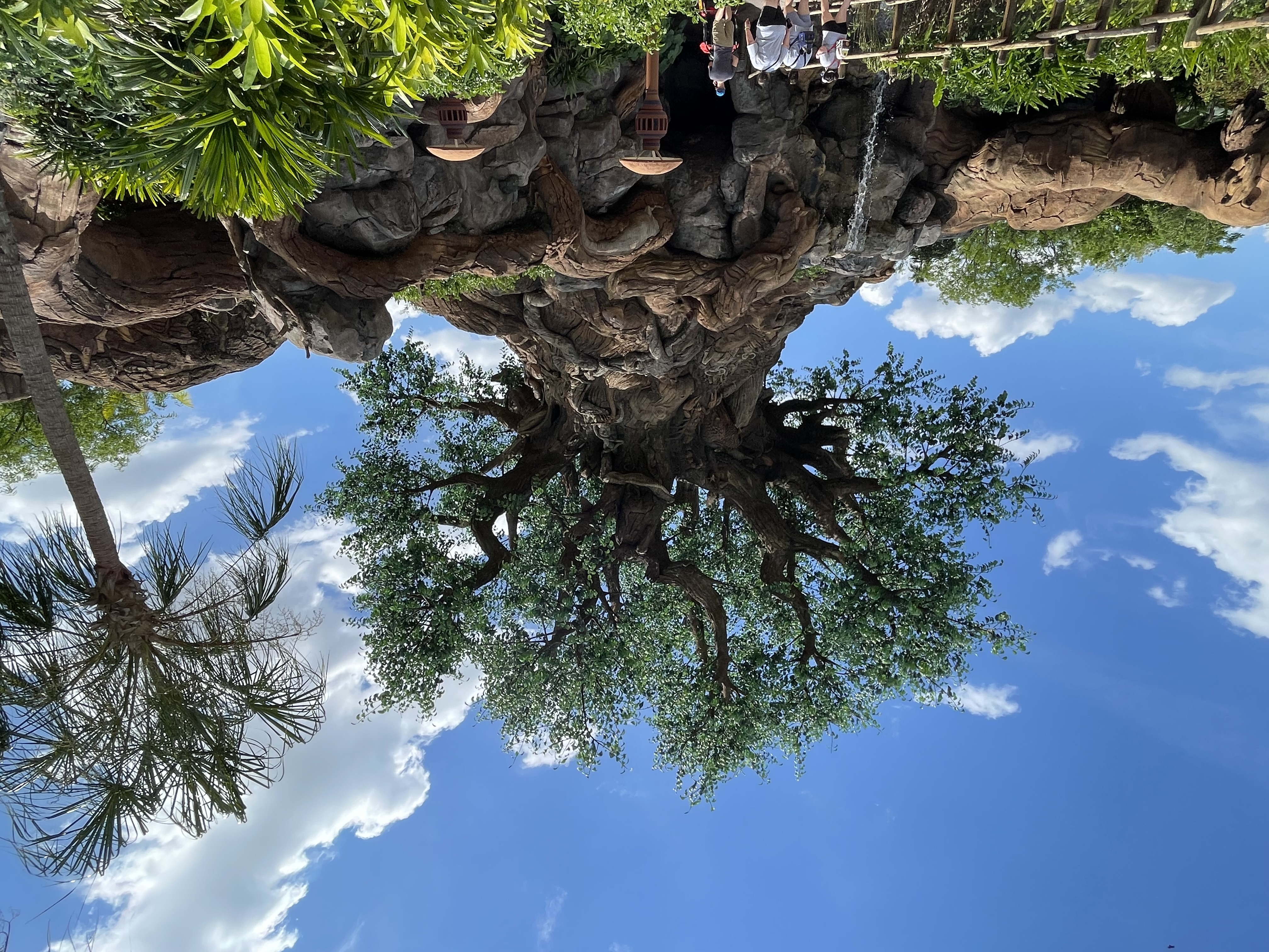 Disney’s Animal Kingdom Attractions