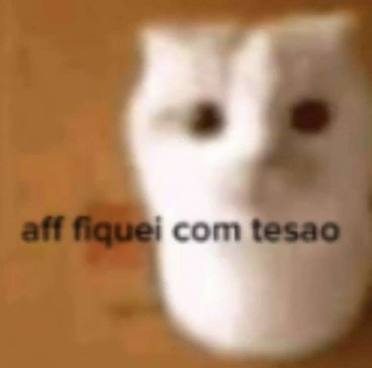 Pigerrs