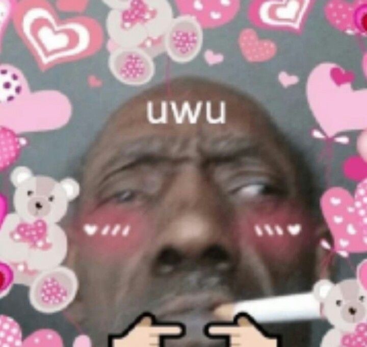 Quem e o mais fofo? UwU