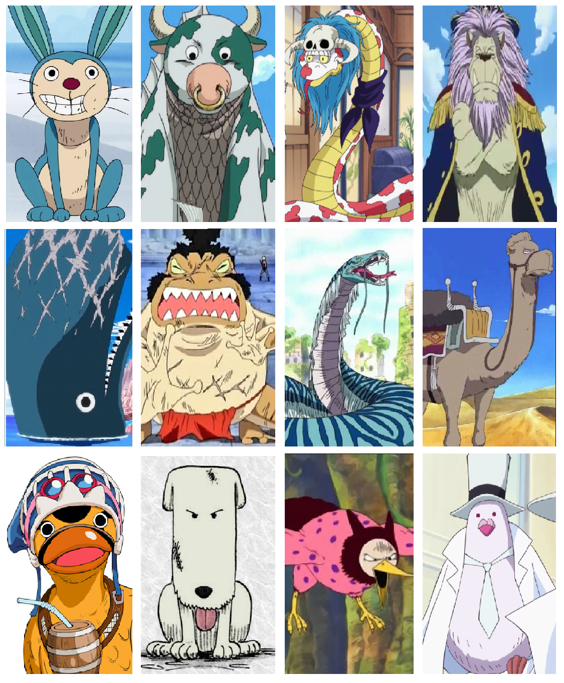 Best One Piece Animal