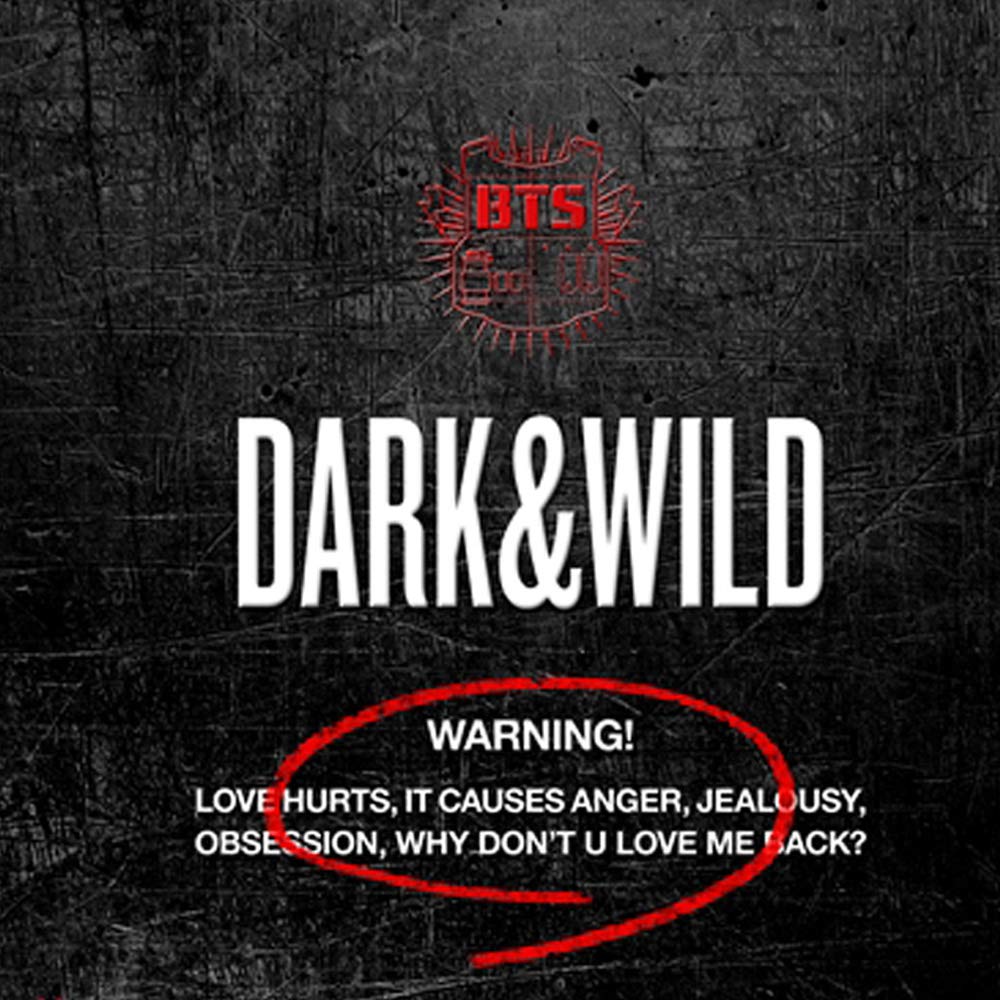 BTS: Dark & Wild Era