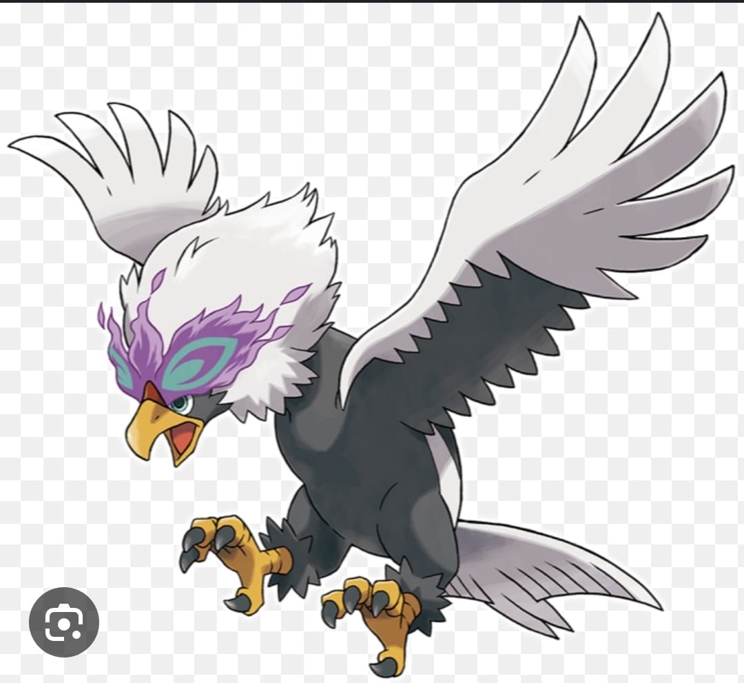 poke finale
