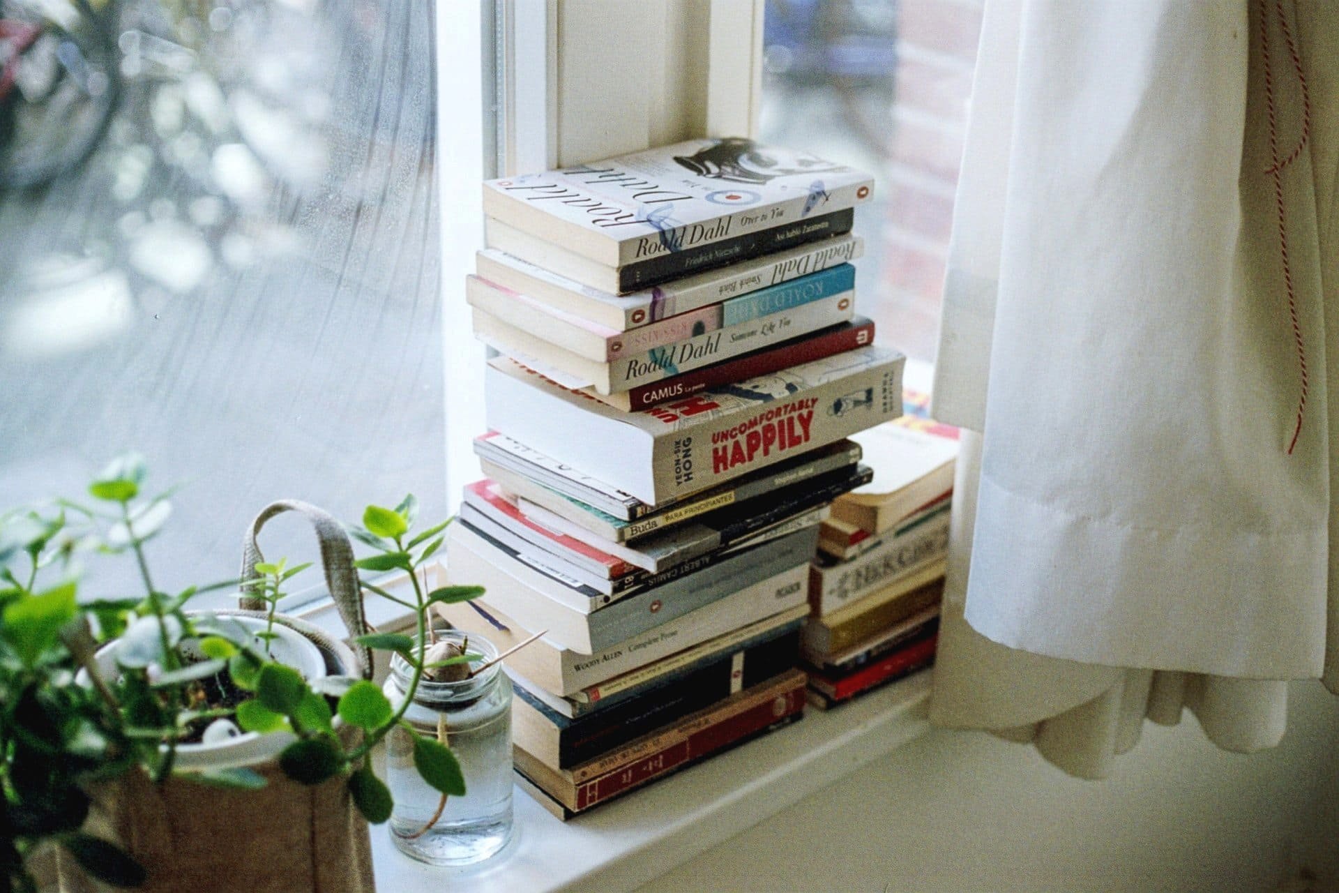 I miei libri della vita