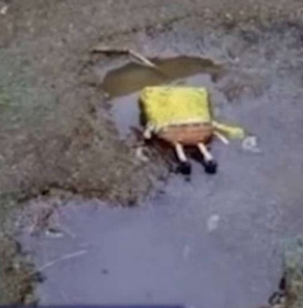 Wybierz najlepszy obrazek