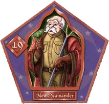 Harry Potter characters not in the movies