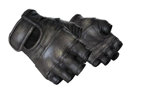 CS2 Glove Brawl