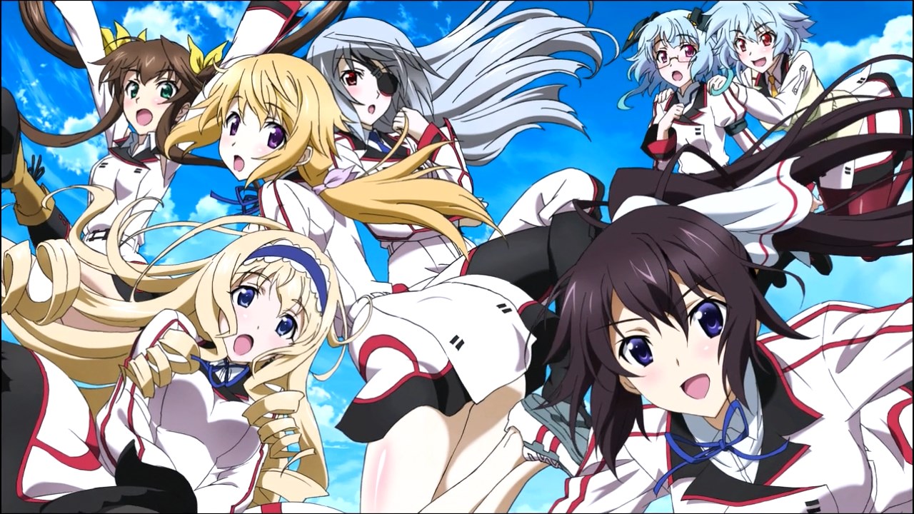 Infinite Stratos "WAIFU"