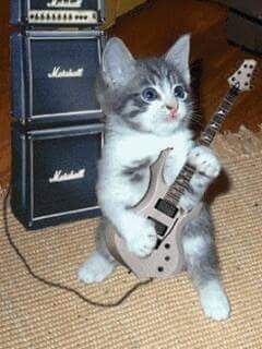 The best guitar solos
