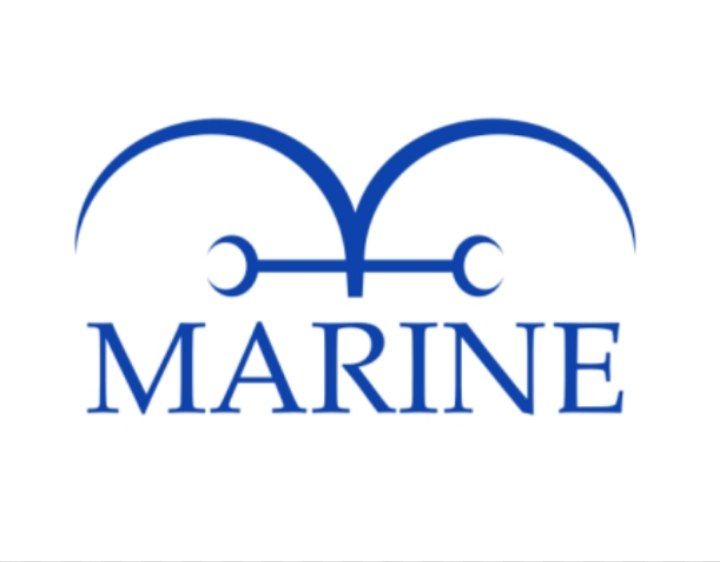MIGLIOR MARINE DI ONE PIECE