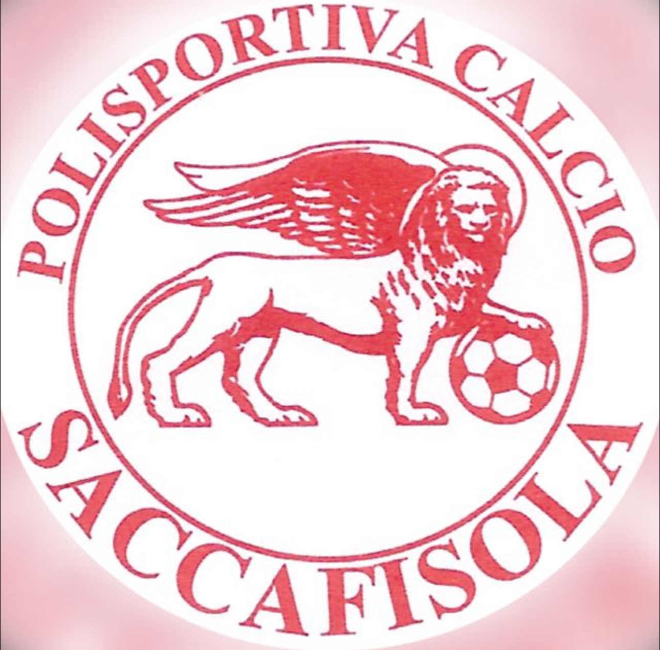LA BIBBIA DELLA SACCA