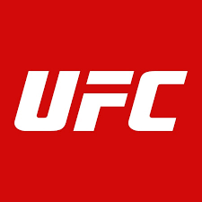 Best UFC Knockout (Post-Pandemic)