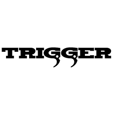 STUDIO TRIGGER