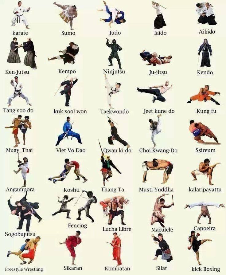 Rdc best martial arts