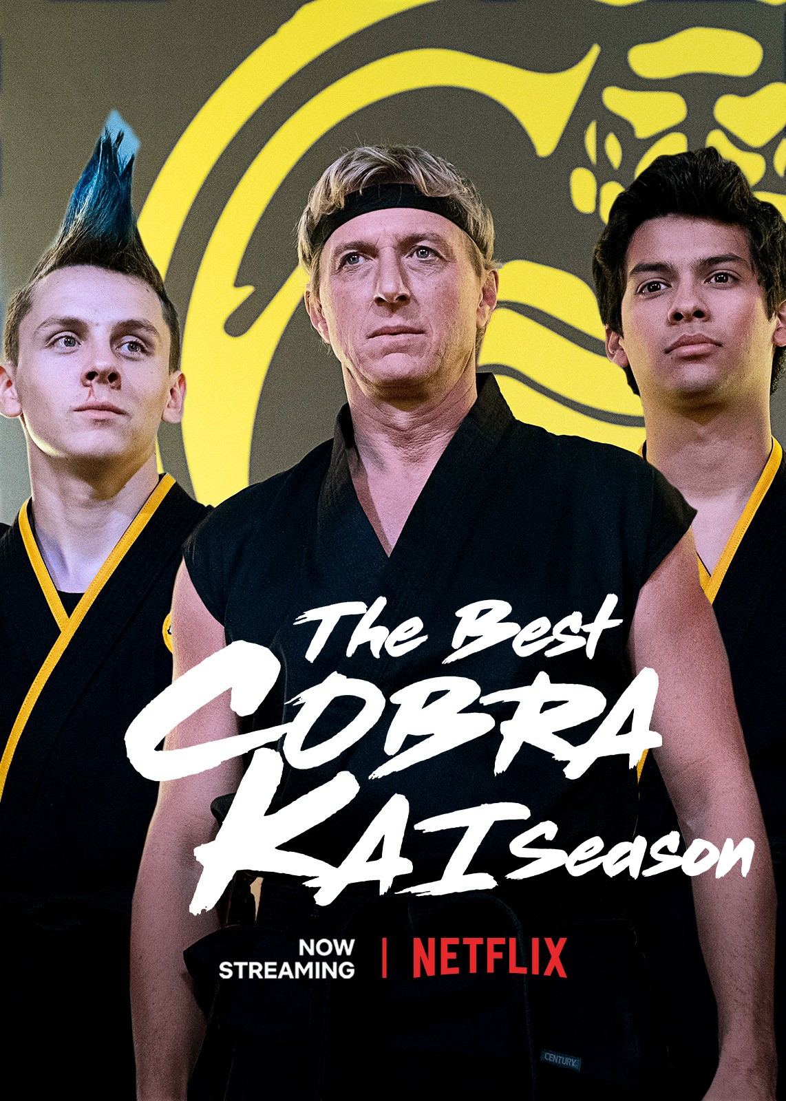 The Best Cobra Kai Season