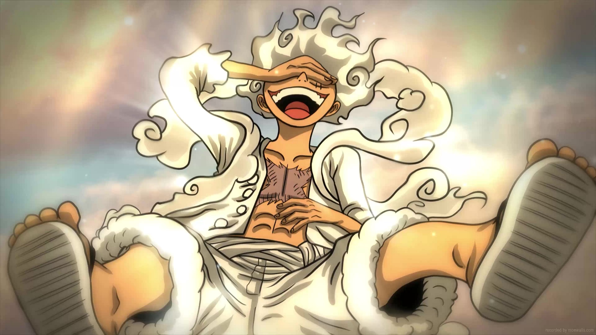 one piece waifus