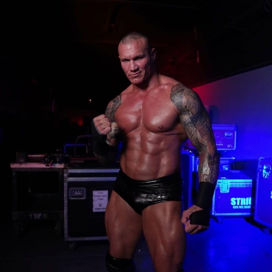 WWE PLE Posters