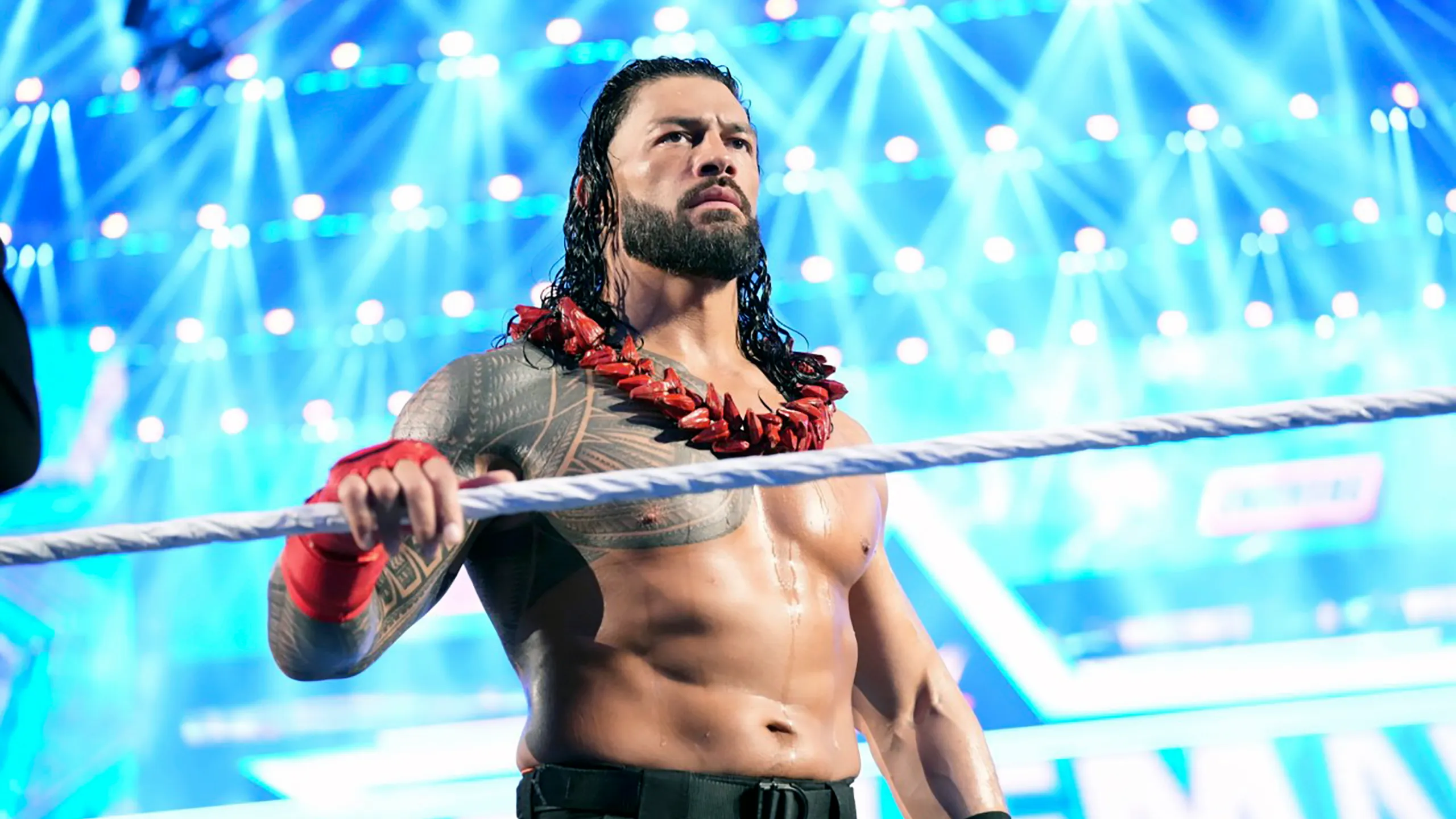 FAVORITE WWE SUPERSTAR