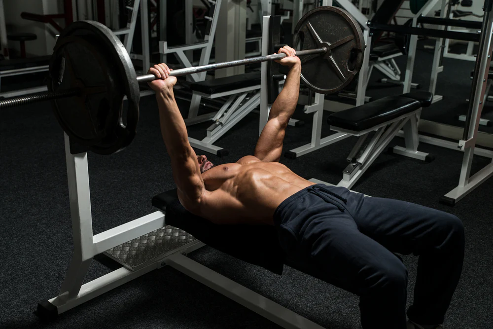 Gym Exercises