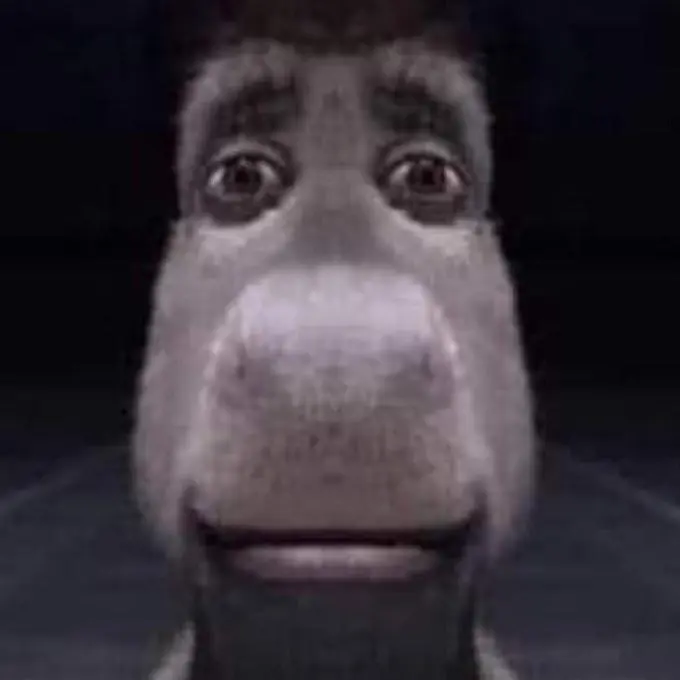 bruh