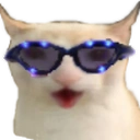 CatChest