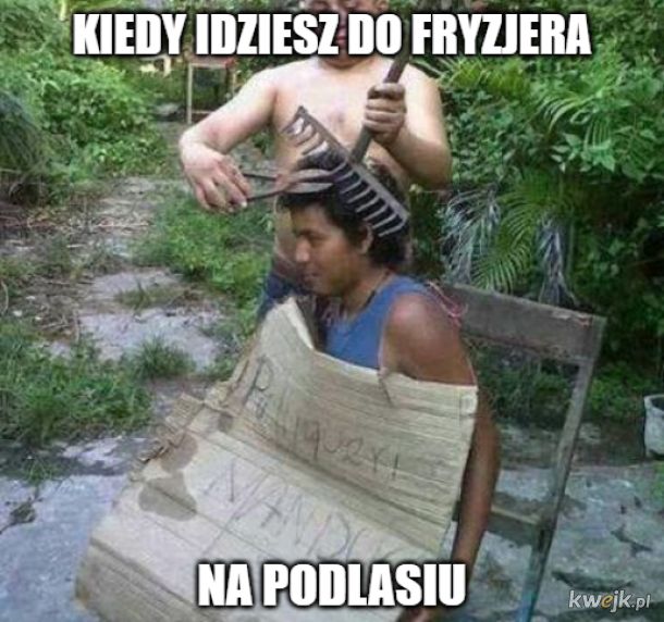Najlepsze polskie memy