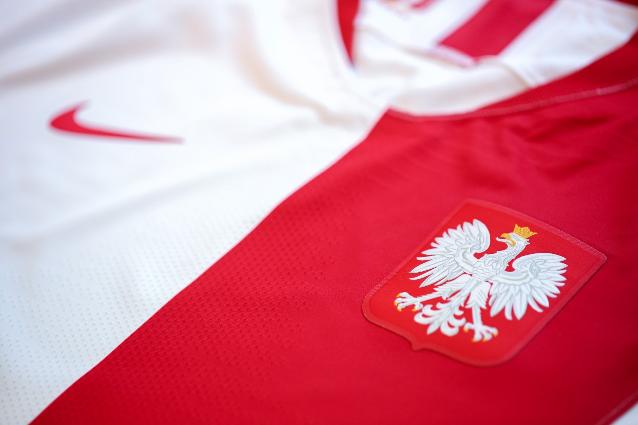 Best Polish Player 2013-2023