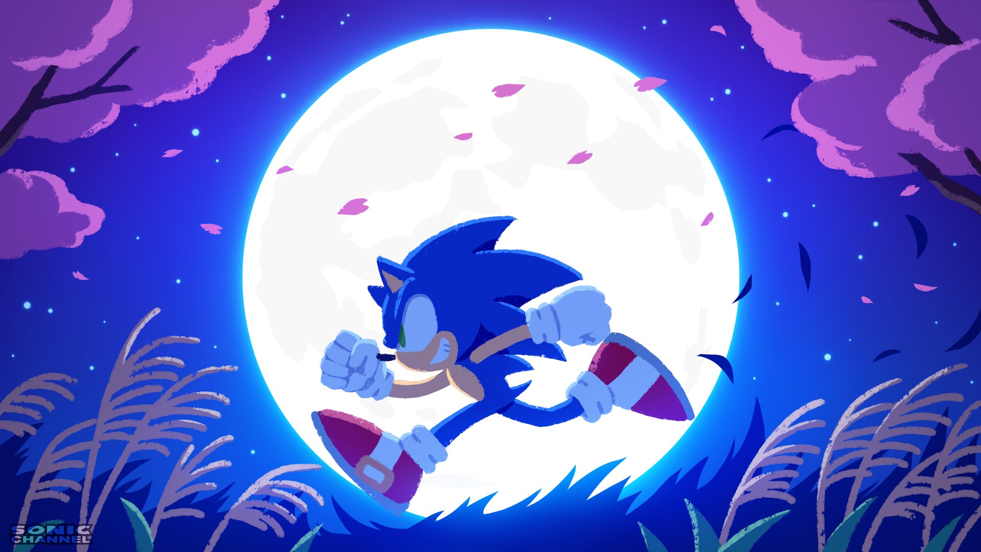 Best Theme for Sonic