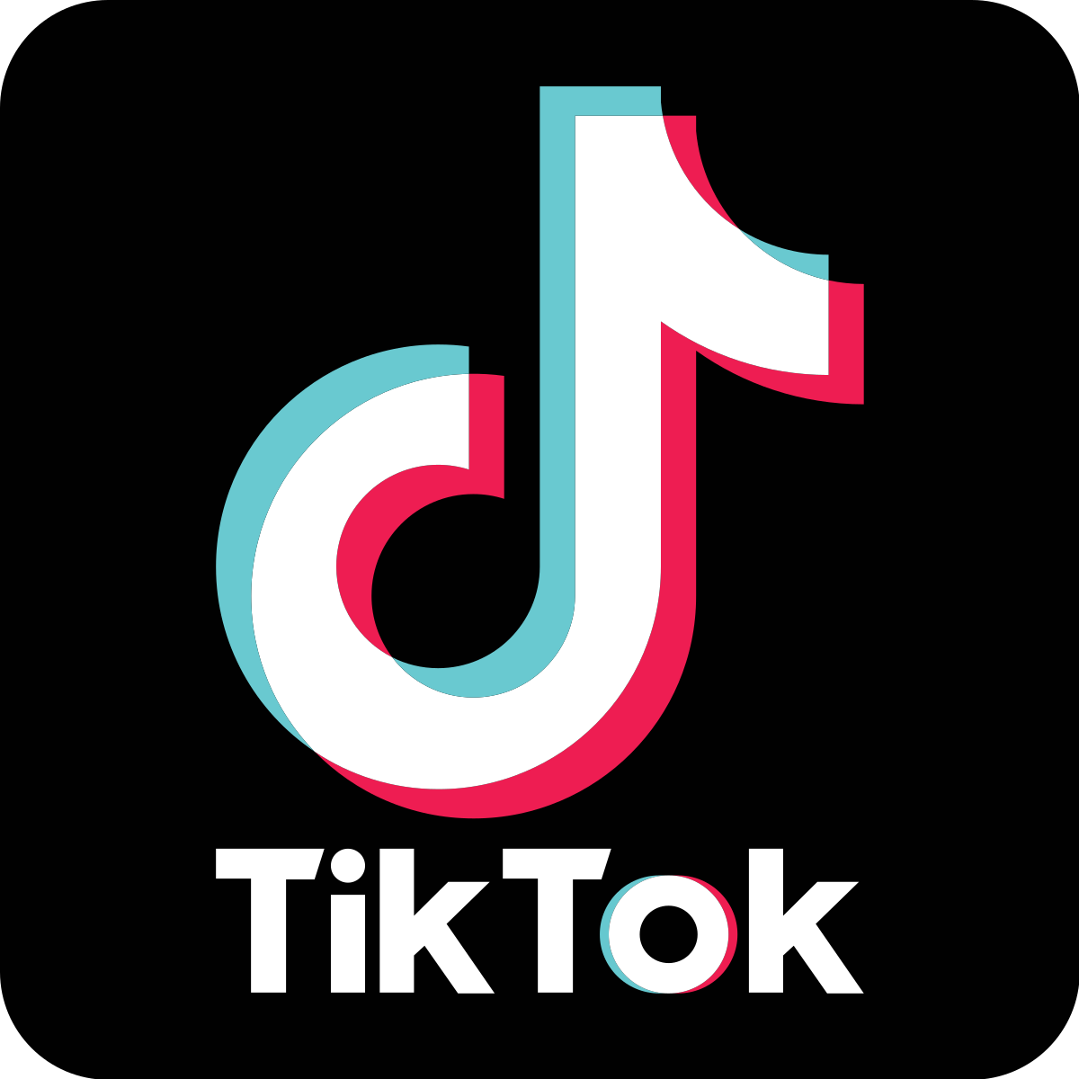 EN İYİ TİKTOKER