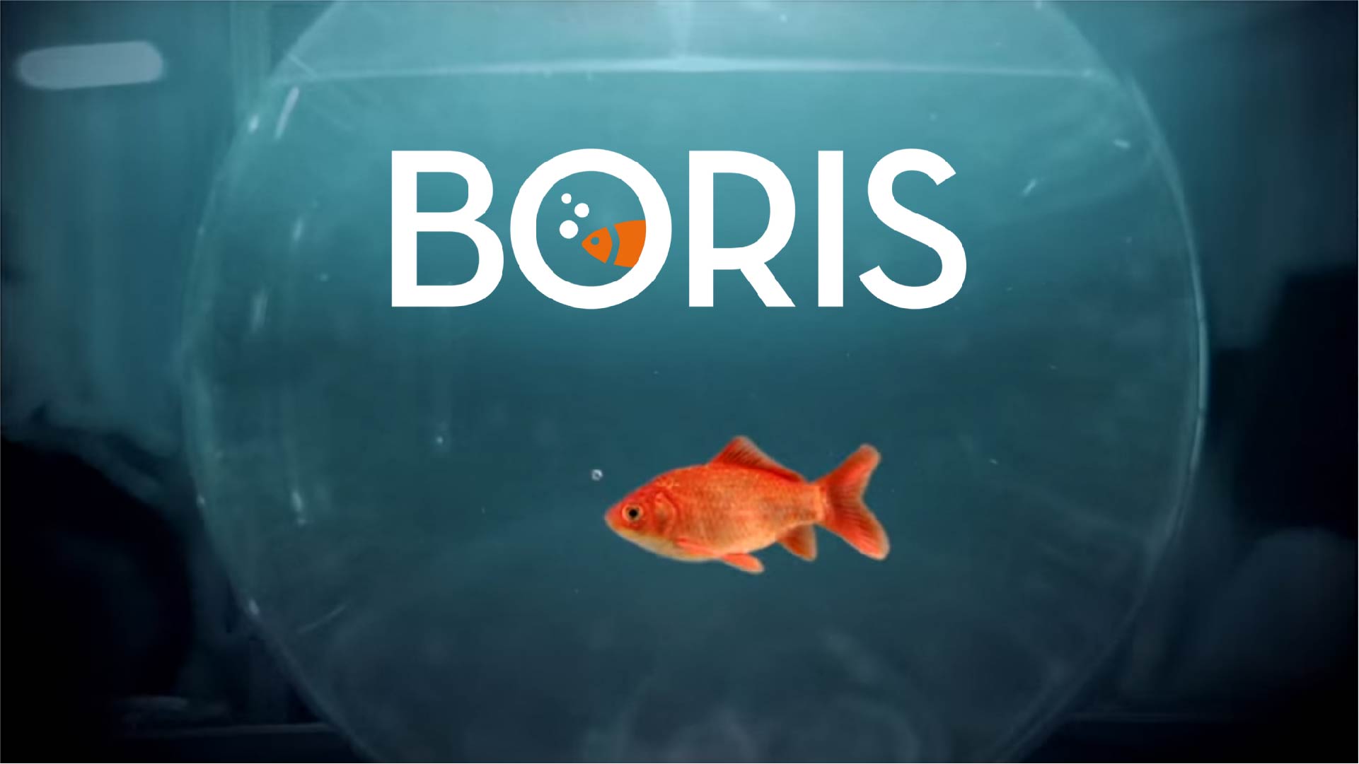 Miglior personaggio di "Boris"