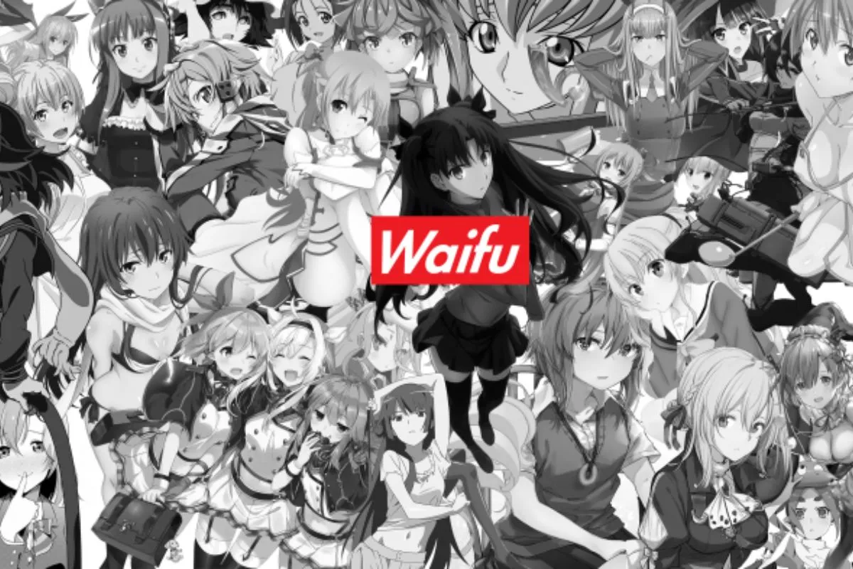 Tournoi Meilleur Waifu