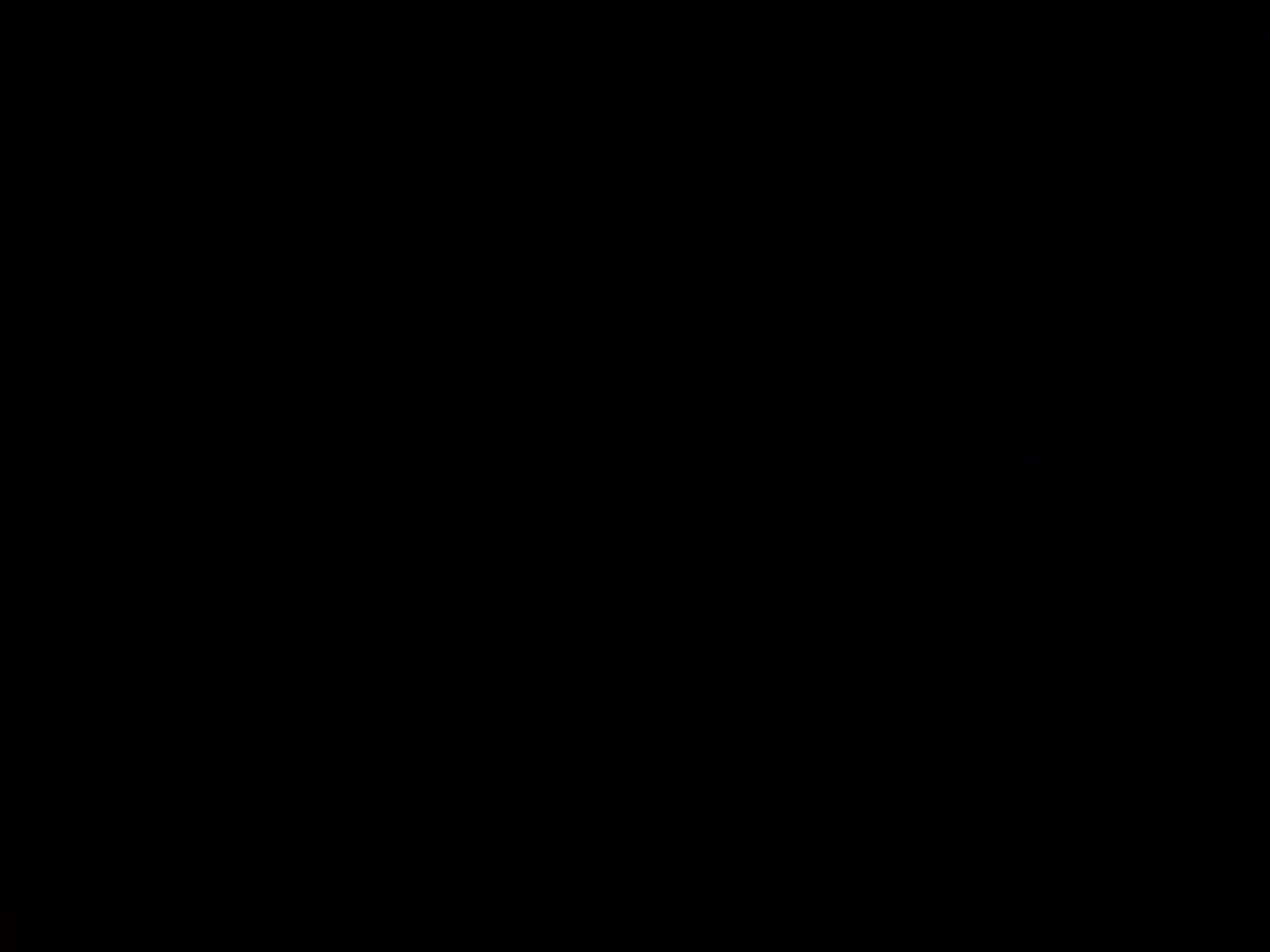 Torneo Dei Maestri di YouTube Italia
