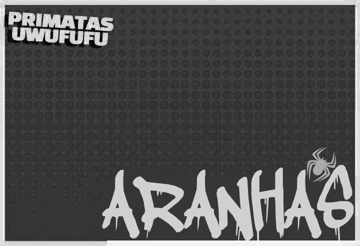 Woods Qual a Aranha mais Cabulosa?