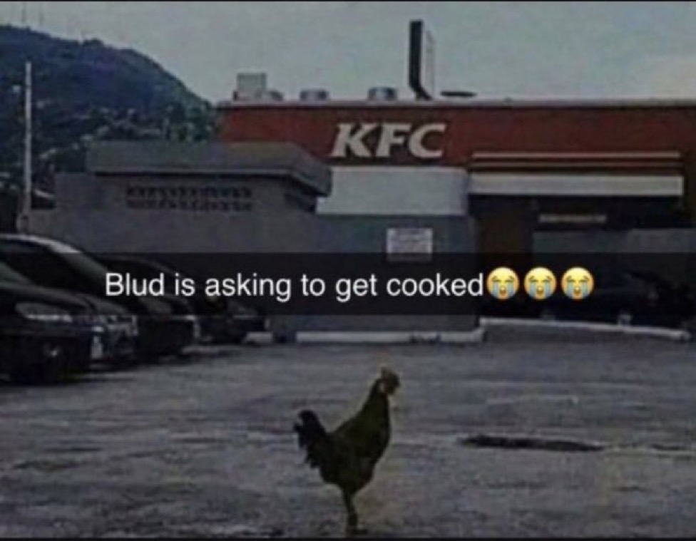 Pollo