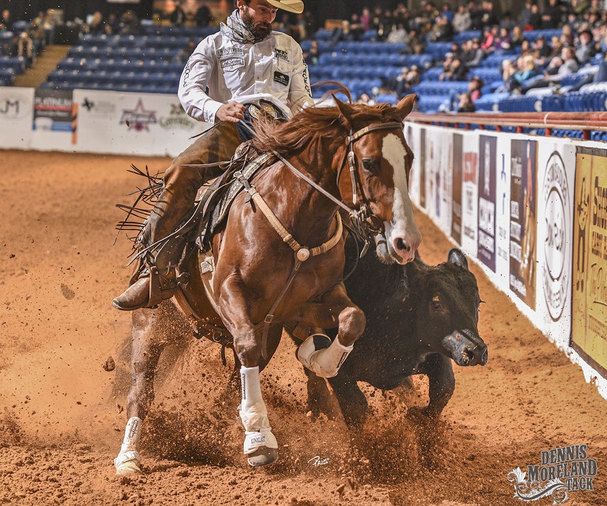 Best Equestrian Discipline