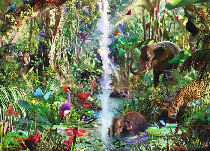 Grand Tournoi des Animaux
