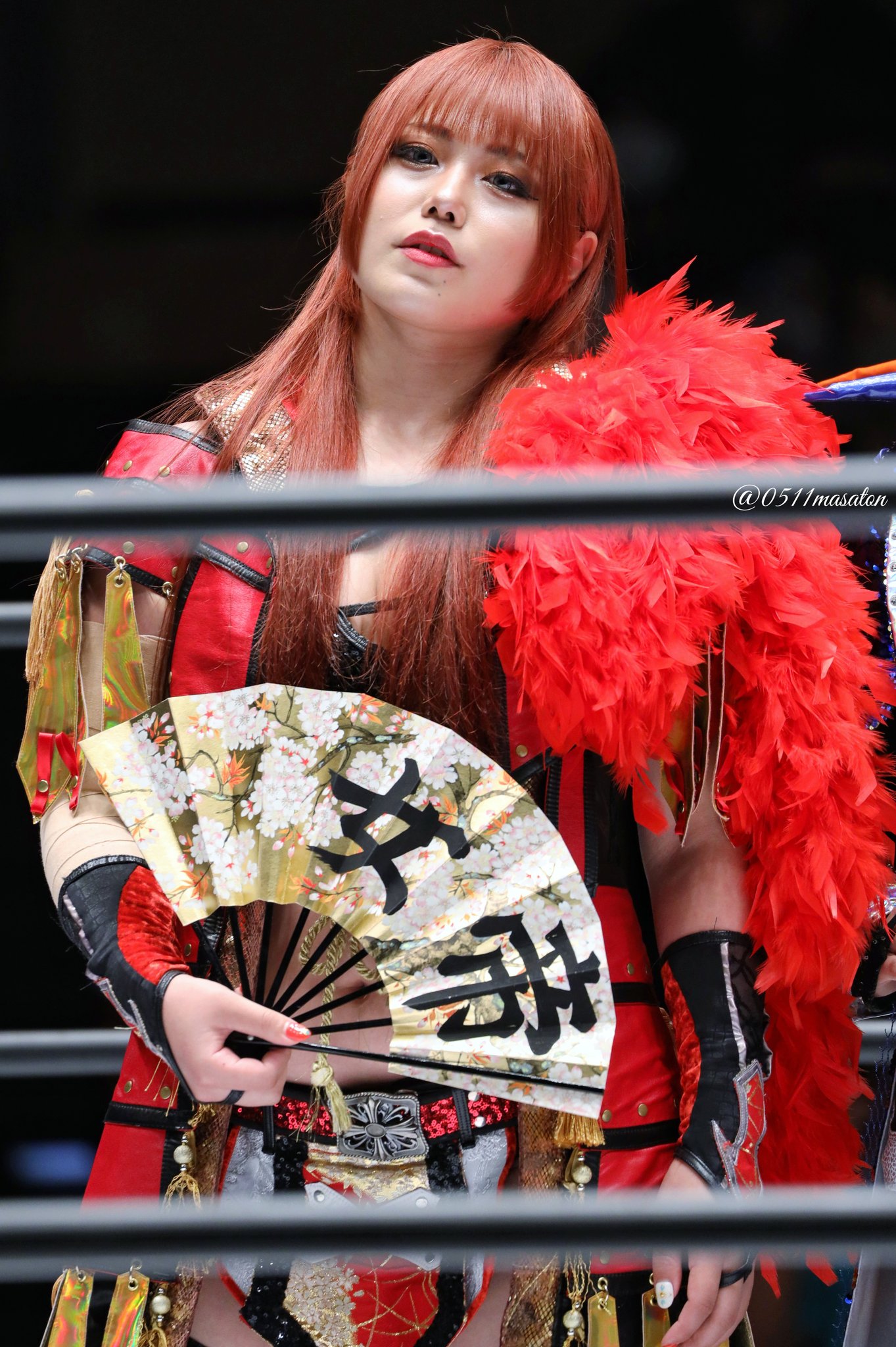Hottest Women in Wrestling