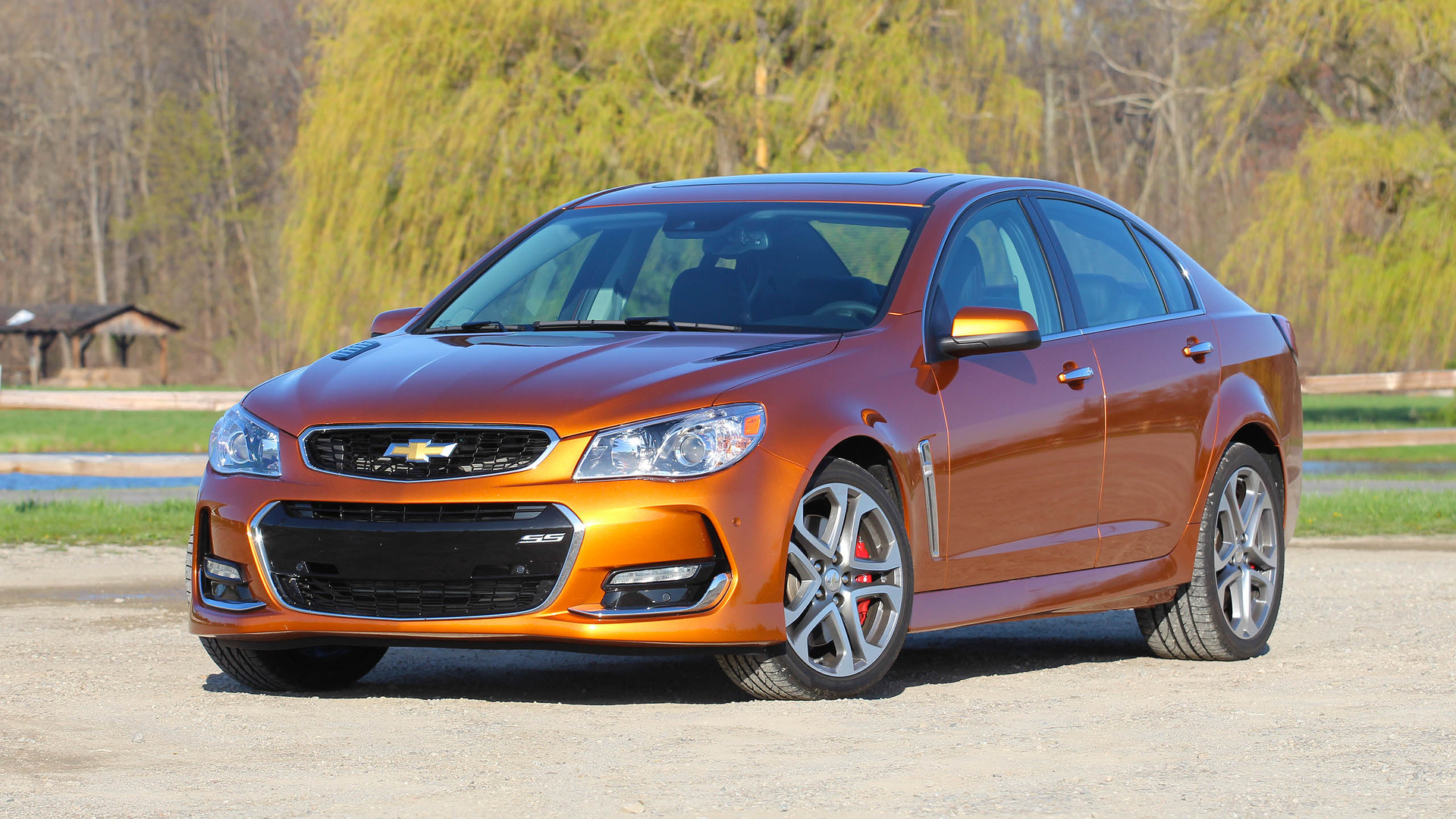 Modern Muscle Cars