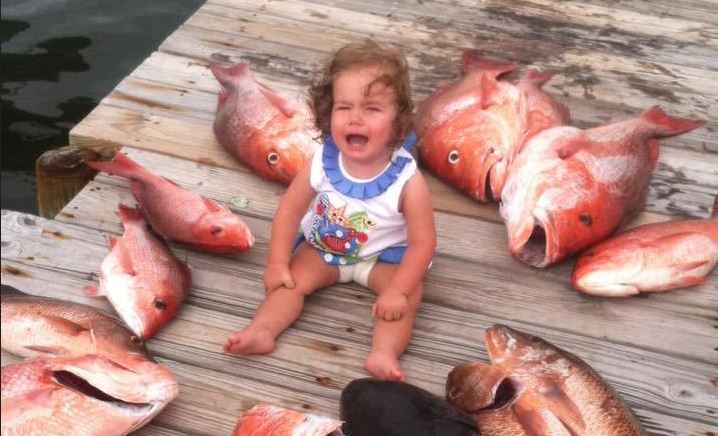 BEST FISH