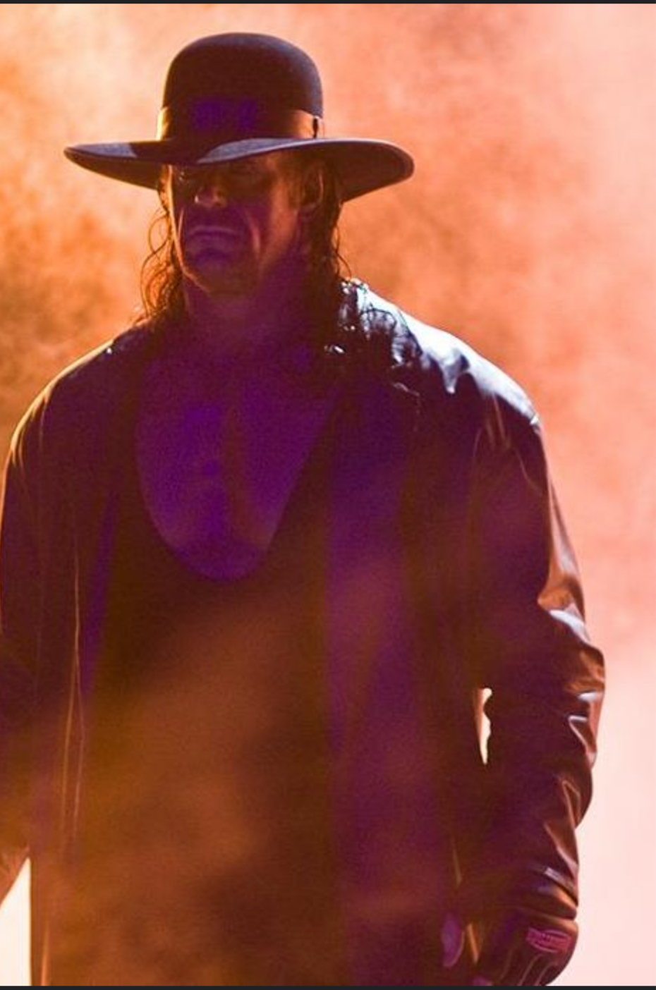 WWE favorite wrestler