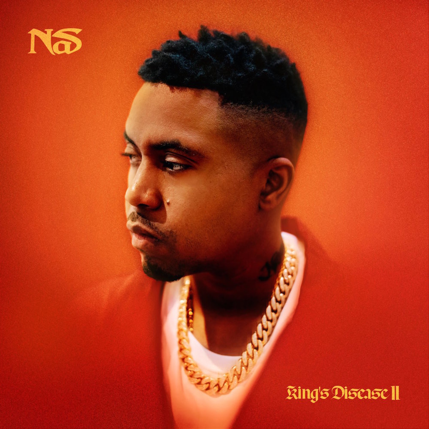 Nas King's Disease + Magic songs