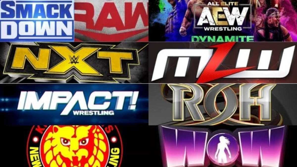 Wrestling quiz!๐ซก