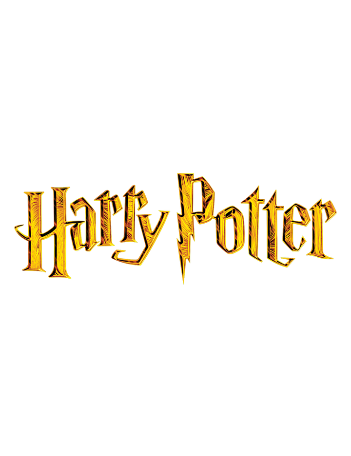 FV HARRY POTTER CHARACTER